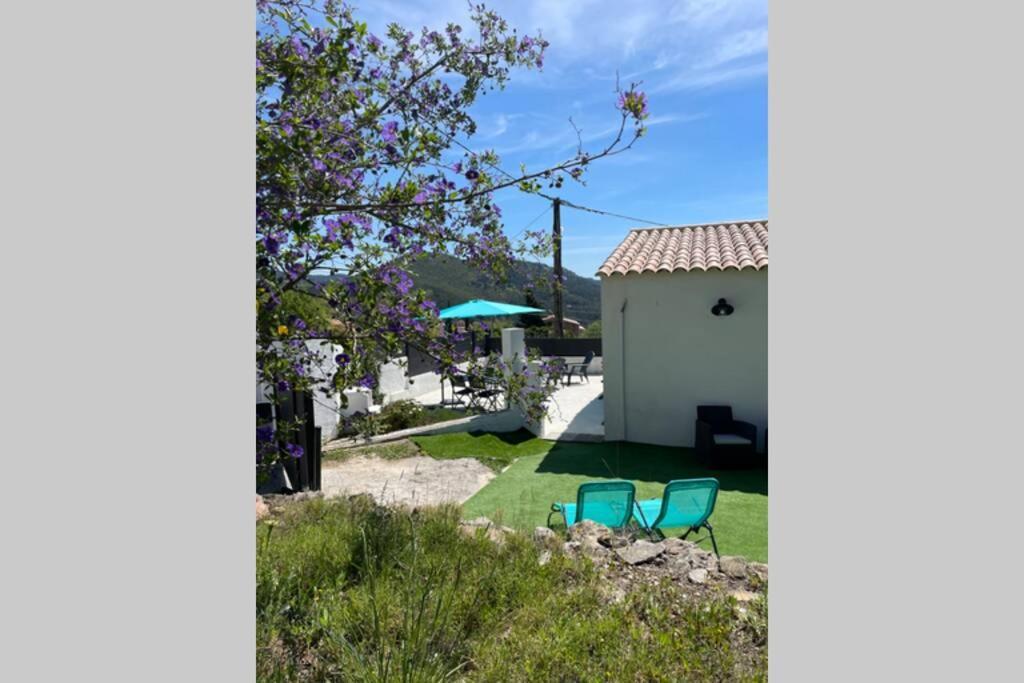 Maison Avec Jardin, Parking Entre Mer Et Montagne Le Revest-le-Eaux Dış mekan fotoğraf