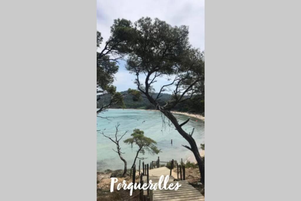 Maison Avec Jardin, Parking Entre Mer Et Montagne Le Revest-le-Eaux Dış mekan fotoğraf