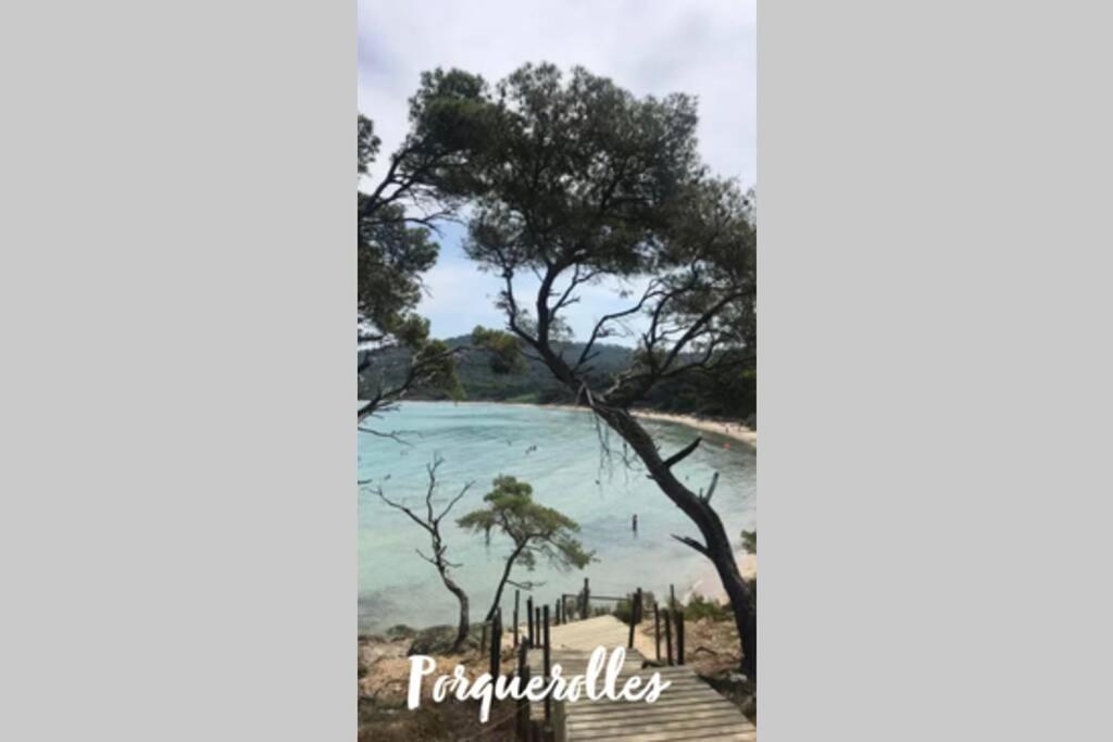 Maison Avec Jardin, Parking Entre Mer Et Montagne Villa Le Revest-le-Eaux Dış mekan fotoğraf